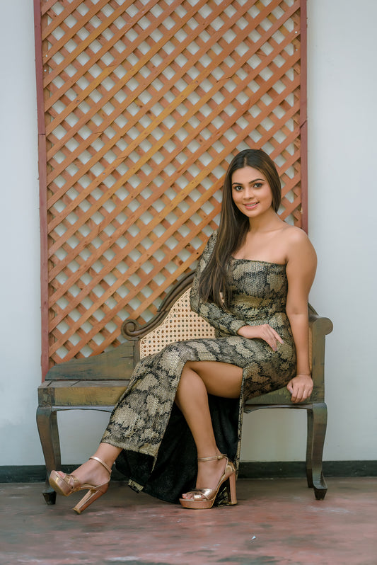 Elegant One Shoulder Dress