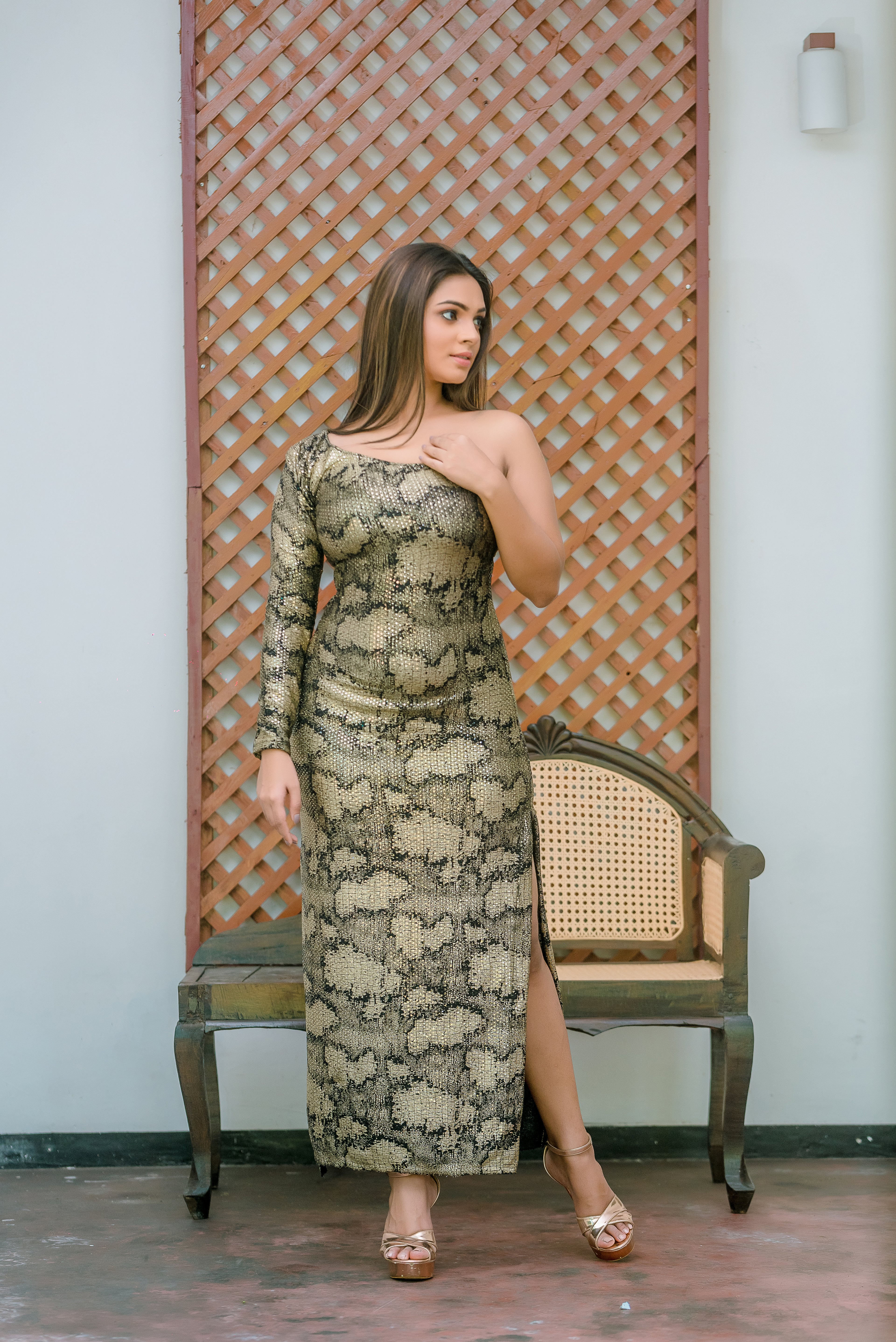 Elegant One Shoulder Dress